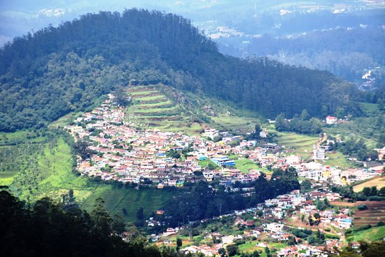 Ooty